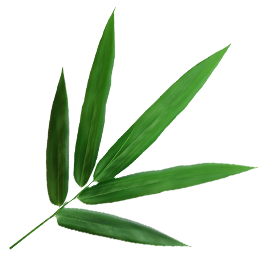 Ningguo Kuntai bambù e legno Co., Ltd.